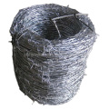 Hot Dipped Galvanized High Tension Barbed Wire Fence